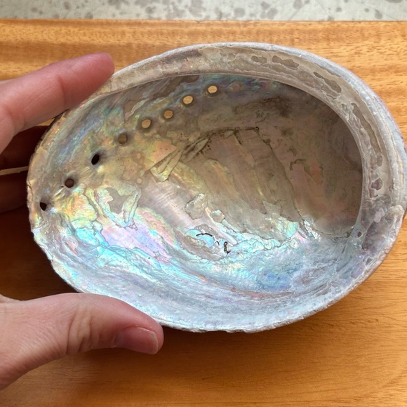 California abalone shell soap dish stocking stuffer Jewelery tray gift - Picture 3 of 5